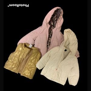 Girls toddler coat bundle